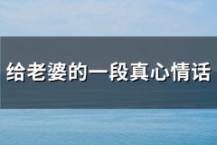 给老婆的一段真心情话(优选157句)