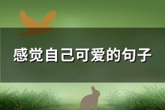 感觉自己可爱的句子(精选57句)