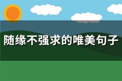 随缘不强求的唯美句子(推荐71句)
