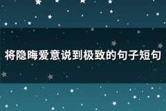 将隐晦爱意说到极致的句子短句(优选89句)