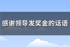 感谢领导发奖金的话语(精选66句)