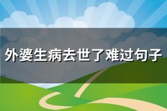 外婆生病去世了难过句子(推荐38句)