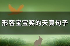 形容宝宝笑的天真句子(优选94句)