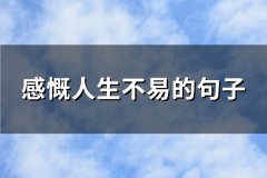 感慨人生不易的句子(汇总56句)