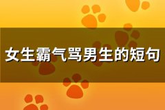 女生霸气骂男生的短句(88句)