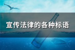 宣传法律的各种标语(精选105句)