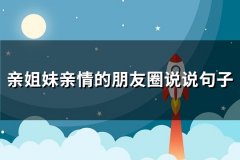亲姐妹亲情的朋友圈说说句子(74句)