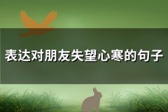 表达对朋友失望心寒的句子(优选150句)