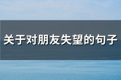 关于对朋友失望的句子(精选259句)