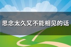 思念太久又不能相见的话(推荐79句)