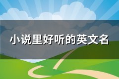 小说里好听的英文名(共105个)