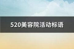 520美容院活动标语(56句)
