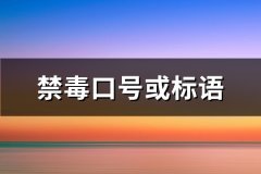 禁毒口号或标语(优选246句)