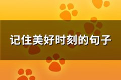记住美好时刻的句子(推荐99句)