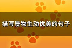 描写景物生动优美的句子(优选122句)