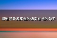 感谢领导发奖金的话实在点的句子(实用73句)