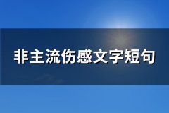 非主流伤感文字短句(精选90句)