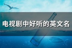 电视剧中好听的英文名(共78个)