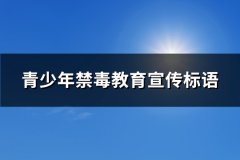 青少年禁毒教育宣传标语(通用91句)