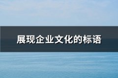 展现企业文化的标语(共133句)