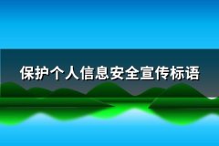 保护个人信息安全宣传标语(推荐74句)