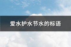 爱水护水节水的标语(共76句)
