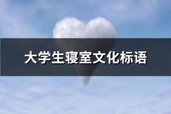 大学生寝室文化标语(优选72句)