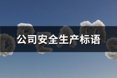 公司安全生产标语(推荐164句)