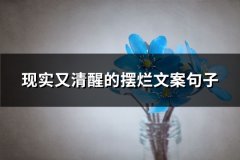 现实又清醒的摆烂文案句子(精选69句)