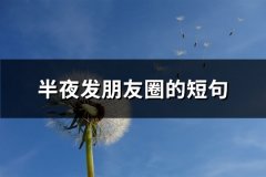 半夜发朋友圈的短句(实用72句)