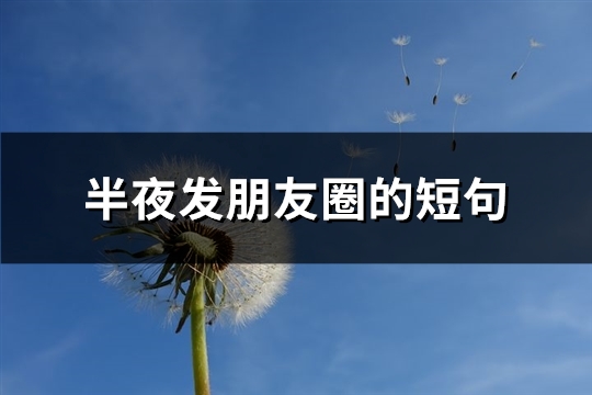 半夜发朋友圈的短句(实用72句)