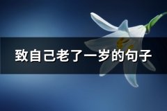 致自己老了一岁的句子(推荐76句)