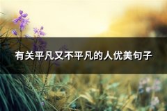 有关平凡又不平凡的人优美句子(实用47句)
