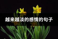 越来越淡的感情的句子(热门30句)