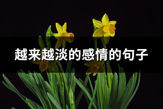 越来越淡的感情的句子(热门30句)