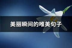 美丽瞬间的唯美句子(优选45句)