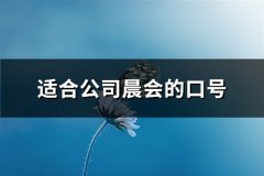 适合公司晨会的口号(优选101句)