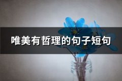 唯美有哲理的句子短句(必备93句)