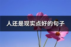 人还是现实点好的句子(推荐64句)