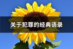 关于犯罪的经典语录(汇总61句)