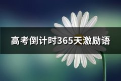 高考倒计时365天激励语(精选46句)