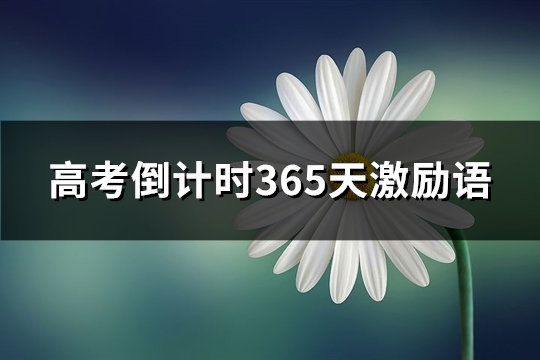 高考倒计时365天激励语(精选46句)