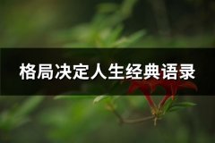 格局决定人生经典语录(汇总68句)