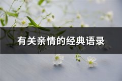 有关亲情的经典语录(共65句)