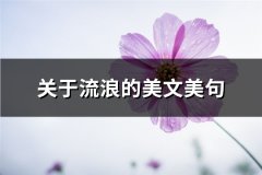 关于流浪的美文美句(共61句)
