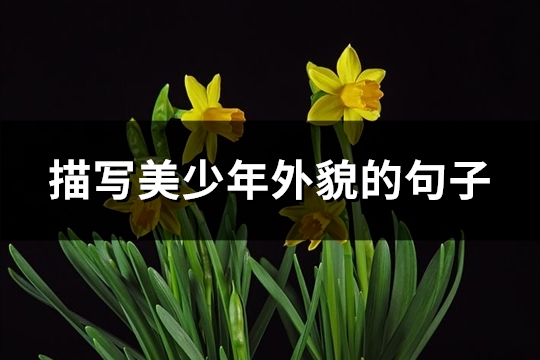 描写美少年外貌的句子(热门61句)