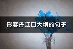 形容丹江口大坝的句子(优选65句)