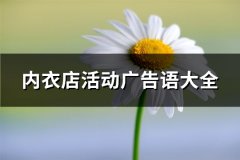内衣店活动广告语大全(优选300句)