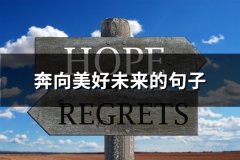 奔向美好未来的句子(汇总42句)