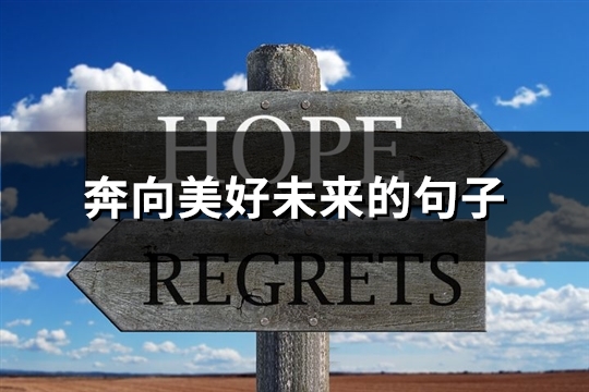 奔向美好未来的句子(汇总42句)